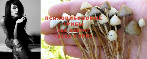 кокс Баксан