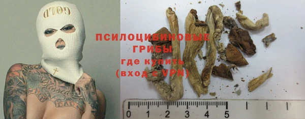 скорость Белокуриха