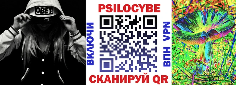 Галлюциногенные грибы Psilocybine cubensis  Жирновск 